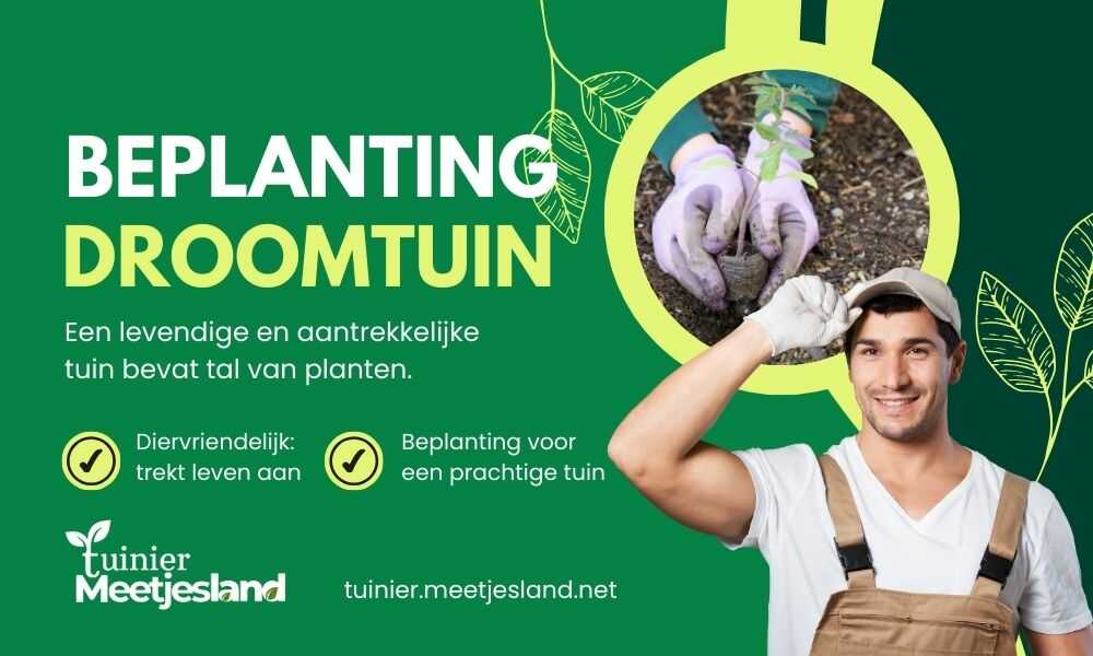 Beplanting